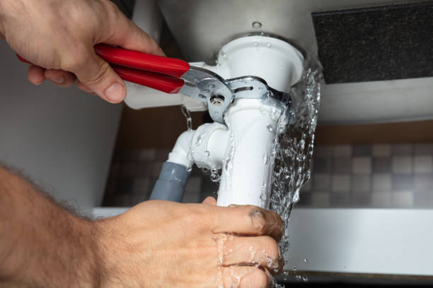 Best Water damage cleanup near me  in Sparta, MI