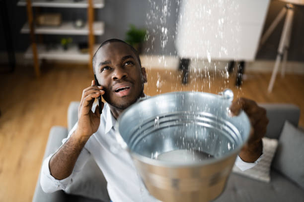 Best Sewage cleanup and water damage restoration  in Sparta, MI