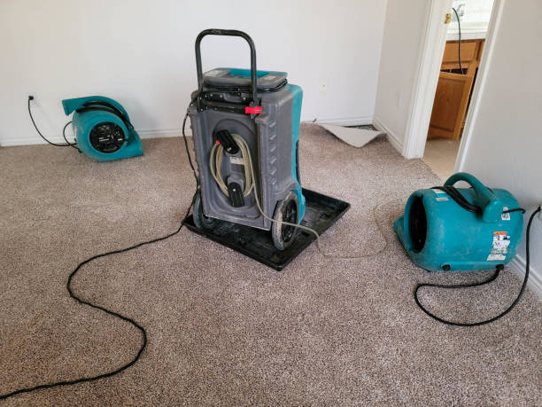 Best Fire Damage Restoration  in Sparta, MI