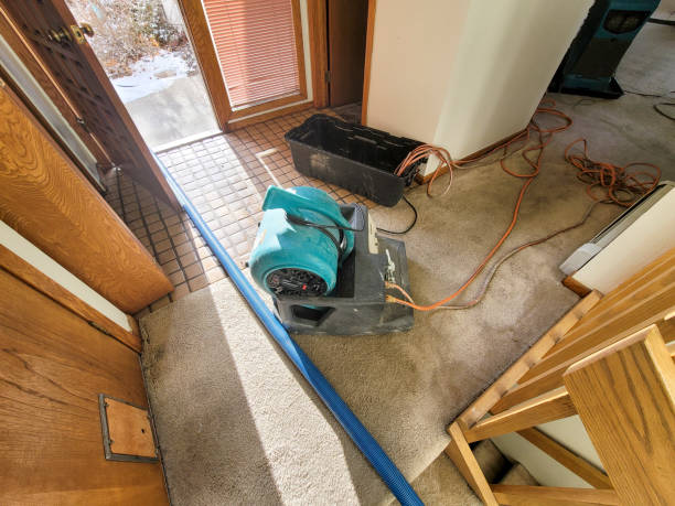 Best Water damage restoration insurance claims  in Sparta, MI