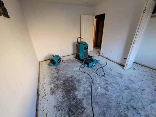 Best Mold removal after water damage  in Sparta, MI