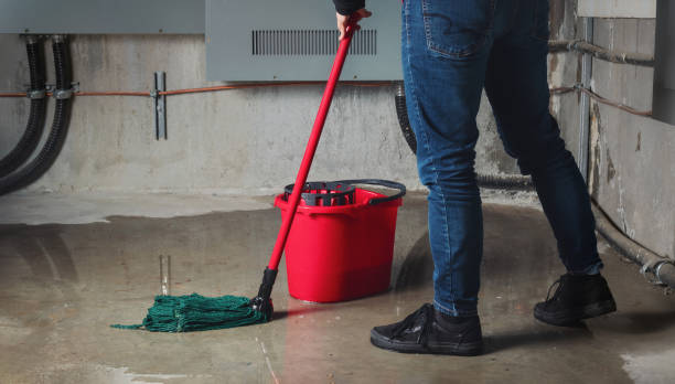Best 24/7 water damage repair  in Sparta, MI