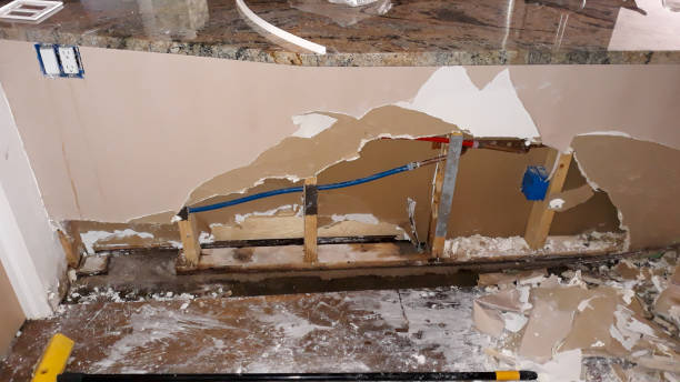 Best Flood damage cleanup  in Sparta, MI