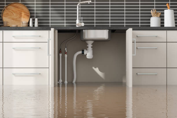 Best Water damage restoration near me  in Sparta, MI