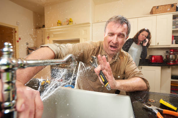 Best Flood damage cleanup  in Sparta, MI